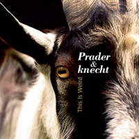 Live: Prader & Knecht (ZH)